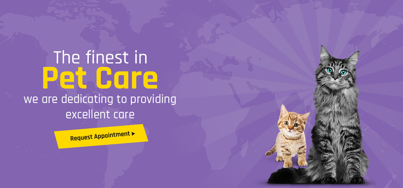 Eden Pets Care Pet Clinic in Nerkundram, Chennai