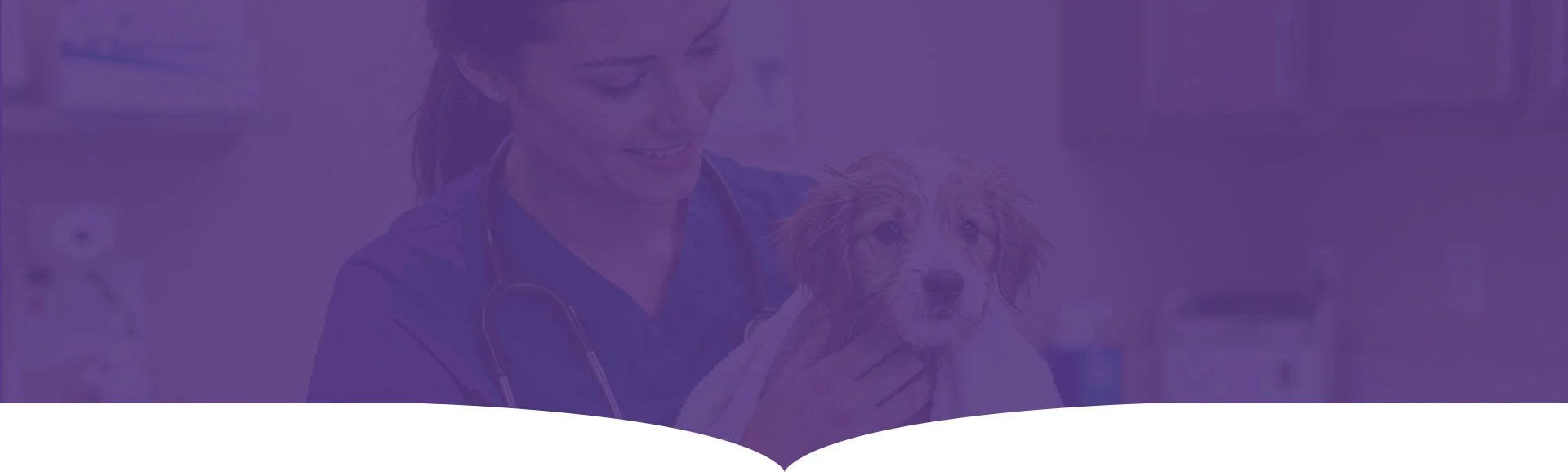 Veterinary Diagnostic Services in Nerkundram, Chennai 