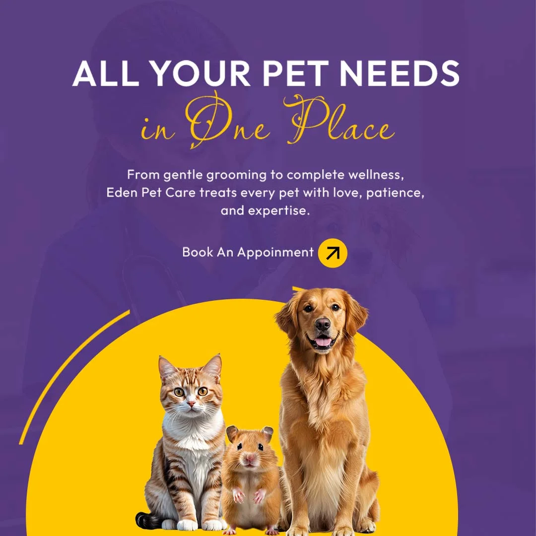 Trusted Pets Care in Chennai